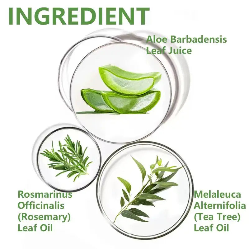 Tea Tree Scalp Clarifying Shampoo