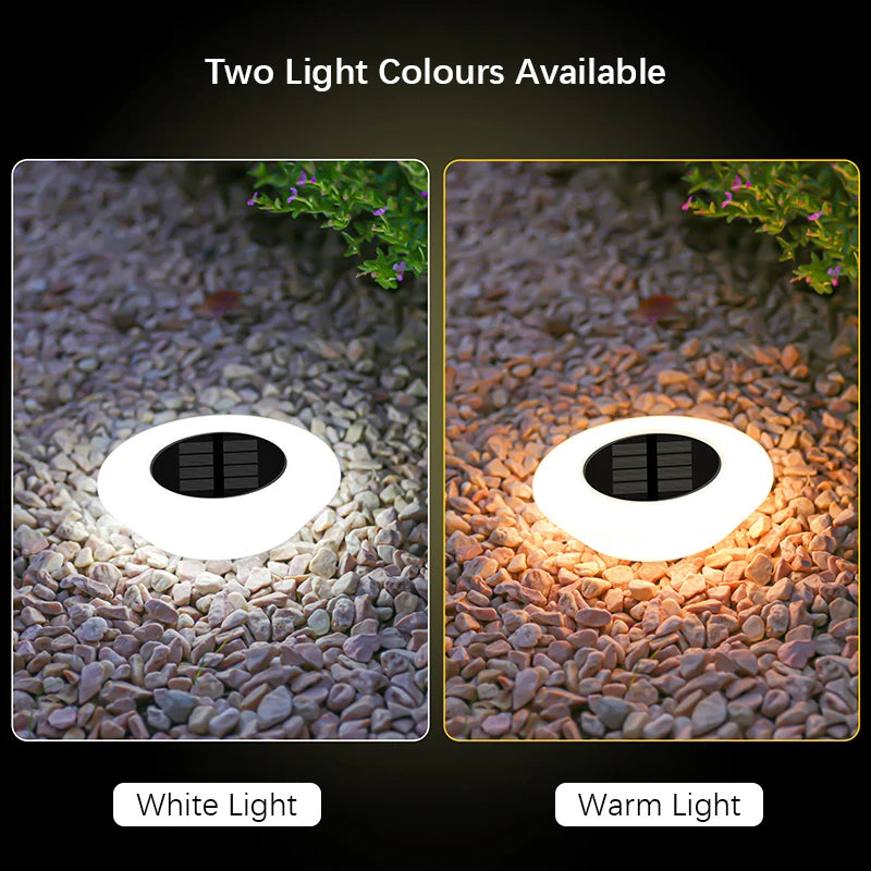 Solar LED Ground Lights (4 Pack)