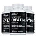 Creatine Monohydrate Powder